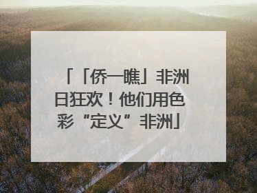 「侨一瞧」非洲日狂欢！他们用色彩“定义”非洲