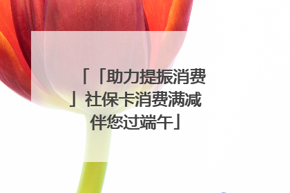 「助力提振消费」社保卡消费满减伴您过端午