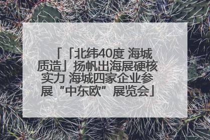 「北纬40度 海城质造」扬帆出海展硬核实力 海城四家企业参展“中东欧”展览会