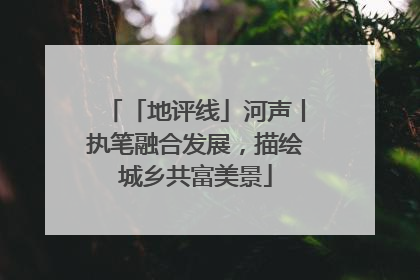 「地评线」河声丨执笔融合发展，描绘城乡共富美景