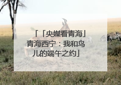 「央媒看青海」青海西宁：我和鸟儿的端午之约