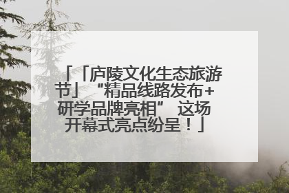 「庐陵文化生态旅游节」“精品线路发布+研学品牌亮相” 这场开幕式亮点纷呈！
