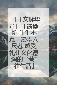 「文脉华章」非遗焕新 生生不息｜漫步六尺巷 感受礼让文化浸润的“巷”往生活