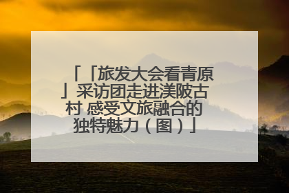 「旅发大会看青原」采访团走进渼陂古村 感受文旅融合的独特魅力（图）