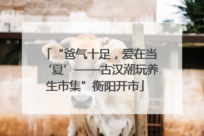 “爸气十足，爱在当‘夏’——古汉潮玩养生市集”衡阳开市
