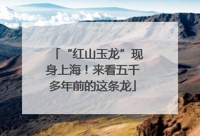 “红山玉龙”现身上海！来看五千多年前的这条龙