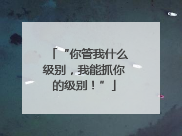 “你管我什么级别，我能抓你的级别！”