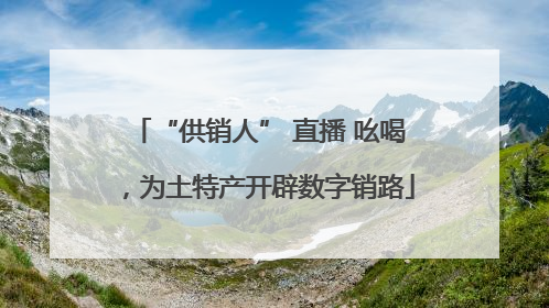 “供销人” 直播 吆喝，为土特产开辟数字销路