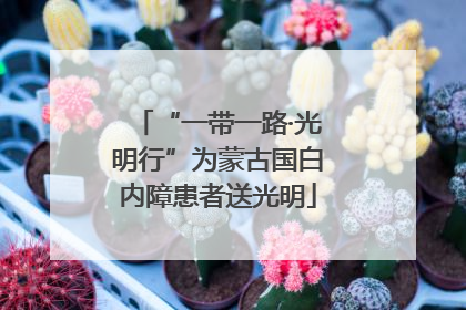 “一带一路·光明行”为蒙古国白内障患者送光明