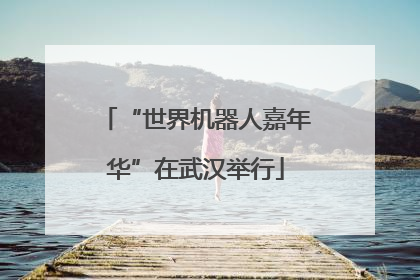 “世界机器人嘉年华”在武汉举行