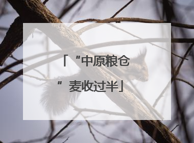 “中原粮仓”麦收过半
