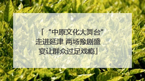 “中原文化大舞台”走进延津 两场豫剧盛宴让群众过足戏瘾