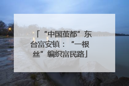 “中国茧都”东台富安镇：“一根丝”编织富民路