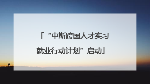 “中斯跨国人才实习就业行动计划”启动