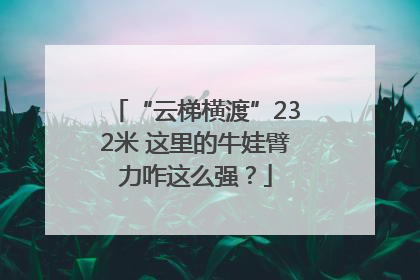 “云梯横渡”232米 这里的牛娃臂力咋这么强？