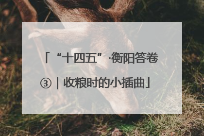 “十四五”·衡阳答卷③｜收粮时的小插曲
