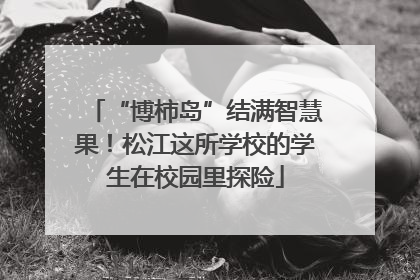 “博柿岛”结满智慧果！松江这所学校的学生在校园里探险