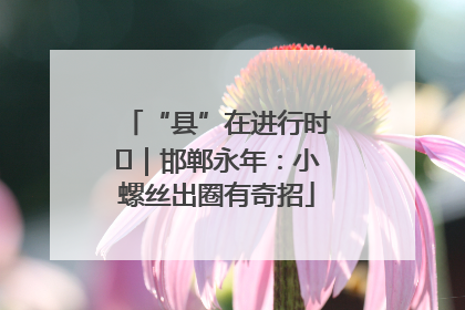 “县”在进行时⑬｜邯郸永年：小螺丝出圈有奇招