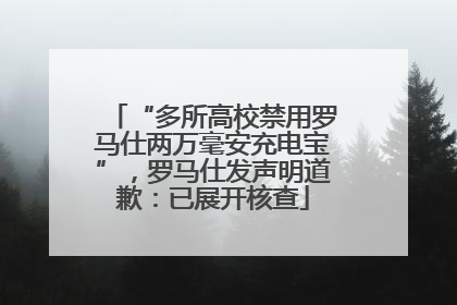 “多所高校禁用罗马仕两万毫安充电宝”，罗马仕发声明道歉：已展开核查