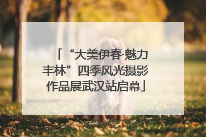 “大美伊春·魅力丰林”四季风光摄影作品展武汉站启幕