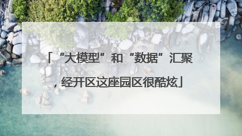 “大模型”和“数据”汇聚，经开区这座园区很酷炫