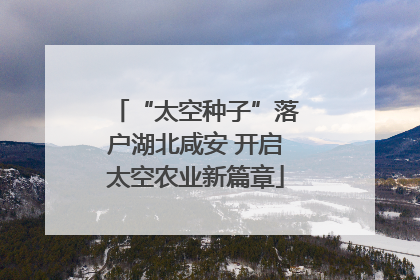 “太空种子”落户湖北咸安 开启太空农业新篇章