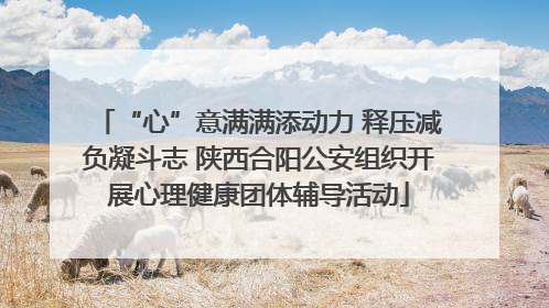 “心”意满满添动力 释压减负凝斗志 陕西合阳公安组织开展心理健康团体辅导活动