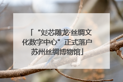 “彣芯雕龙·丝绸文化数字中心”正式落户苏州丝绸博物馆