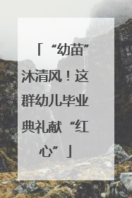 “幼苗”沐清风！这群幼儿毕业典礼献“红心”