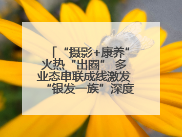 “摄影+康养”火热“出圈” 多业态串联成线激发“银发一族”深度游潜力
