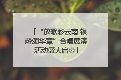 “放歌彩云南 银龄颂华章”合唱展演活动盛大启幕