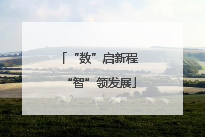 “数”启新程 “智”领发展