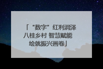 “数字”红利润泽八桂乡村 智慧赋能绘就振兴画卷