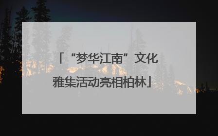 “梦华江南”文化雅集活动亮相柏林
