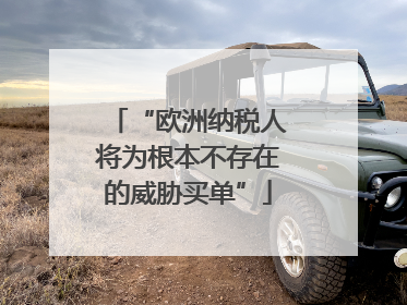 “欧洲纳税人将为根本不存在的威胁买单”