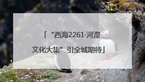 “西海2261·河湟文化大集”引全城期待