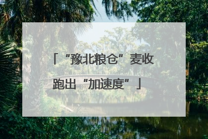 “豫北粮仓”麦收跑出“加速度”