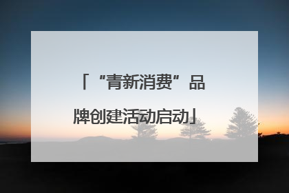 “青新消费”品牌创建活动启动