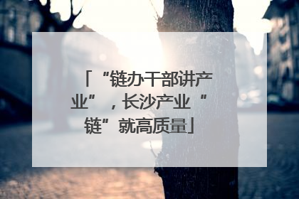 “链办干部讲产业”，长沙产业“链”就高质量