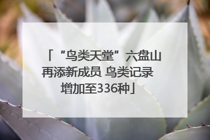 “鸟类天堂”六盘山再添新成员 鸟类记录增加至336种