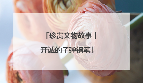 珍贵文物故事丨开诚的子弹钢笔