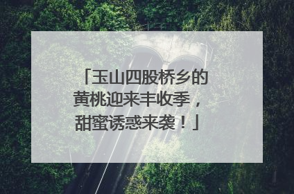 玉山四股桥乡的黄桃迎来丰收季，甜蜜诱惑来袭！