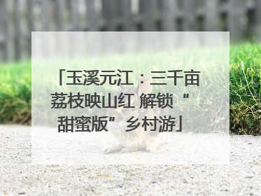 玉溪元江：三千亩荔枝映山红 解锁“甜蜜版”乡村游