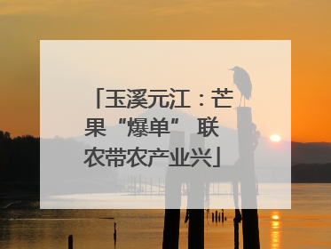 玉溪元江：芒果“爆单” 联农带农产业兴