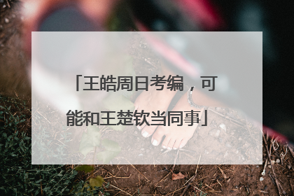 王皓周日考编，可能和王楚钦当同事