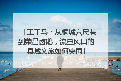 王千马：从桐城六尺巷到荣昌卤鹅，流量风口的县域文旅如何突围