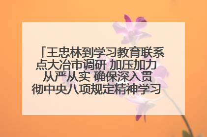王忠林到学习教育联系点大冶市调研 加压加力 从严从实 确保深入贯彻中央八项规定精神学习教育取得实效