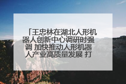 王忠林在湖北人形机器人创新中心调研时强调 加快推动人形机器人产业高质量发展 打造具有全国影响力的研发创新基地
