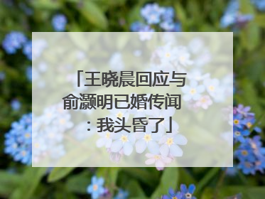 王晓晨回应与俞灏明已婚传闻：我头昏了