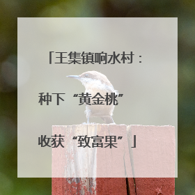 王集镇响水村：种下“黄金桃” 收获“致富果”